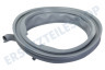 00772655 Manschette mit Ausguss, fettresistent, inkl. Lampenaussparung