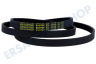 Candy Waschmaschine Riemen 5EPJ 1215