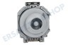 Hotpoint-ariston Waschmaschine C00302796 Pumpe Ablauf ohne Pumpengehäuse