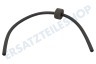 Schlauch Pressostat