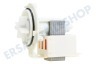 LG Waschmaschine Pumpe Ablaufpumpe