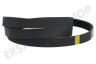 Haier Waschmaschine Riemen 1161EPJ6