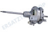 Motor Antriebsmotor