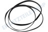 Haier Trockner Riemen 1992 PH11