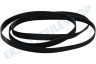 Haier Trockner Riemen 1992 PH11
