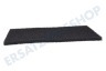 Beko Trockner Filter 220x125mm