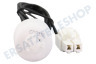 Haier Trockner Sensor Wasserstandsschalter