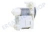 Elektro helios Spülmaschine Pumpe Ablaufpumpe