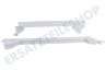 Halter der Schale