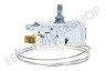 Atag Kühlschrank Thermostat A13 0447R D415
