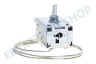 Atag Kühlschrank Thermostat A13 0447R D415