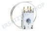 Atag Kühlschrank Thermostat A13 0447R D415