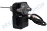 Essentielb Kühlschrank Motor vom Ventilator