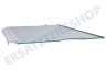 Liebherr Kühlschrank 7276029 Glasplatte komplett