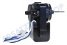 Liebherr Kühlschrank Motor Ventilator Motor kompakt, exkl. Flügelrad