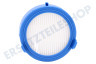 Electrolux Staubsauger Filter Hepa E12