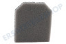 AEG Staubsauger Filter Schaumstofffilter
