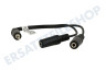 Klinken Splitter 3,5 mm Stecker - 2 x 3,5 mm Contra; Female, 20cm