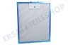 Ariston-Blue Air Abzugshaube 76591, C00076591 Filter Metallfilter 260x320mm