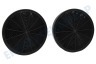 Bosch Abzugshaube Filter Kohlefilter, 2 Stück