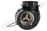 Siemens Abzugshaube 11022541 Motor der Abzugshaube