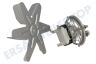Franke Ofen-Mikrowelle Motor des Ventilators, Heißluft