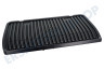 Tefal  TS-01043980 Grillplatte