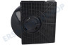 Whirlpool Abzugshaube Filter Carbon 205x43x213mm