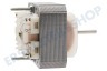 Pelgrim Abzugshaube Motor des Ventilators
