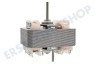 Pelgrim Abzugshaube Motor des Ventilators