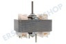 Pelgrim Abzugshaube Motor des Ventilators