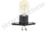 4713-001524 Lampe für Mikrowelle 20W 230V 104ma