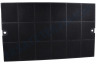 Filter Carbon 44x27X2 EFF52