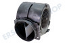 Zanussi Abzugshaube 50268802001 Motor Dunstabzugshaube
