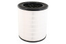 Rowenta Luftbehandlung Filter 